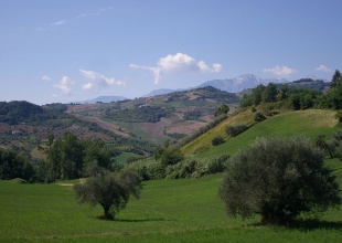 Agricultural land in Cellino Attanasio for sale