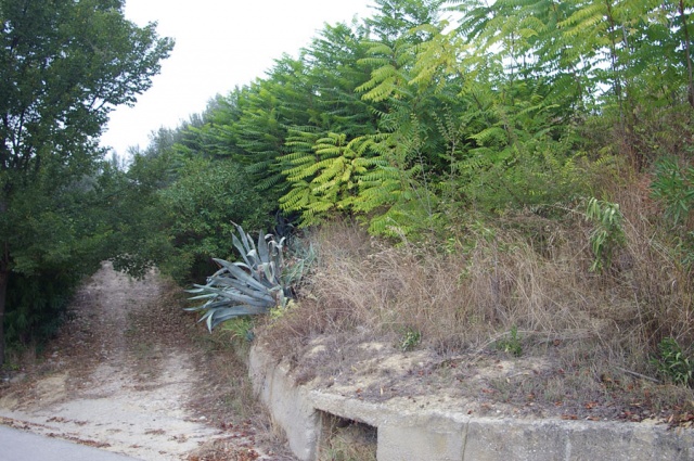 Agricultural land in Contrada Centorame, Atri for sale 