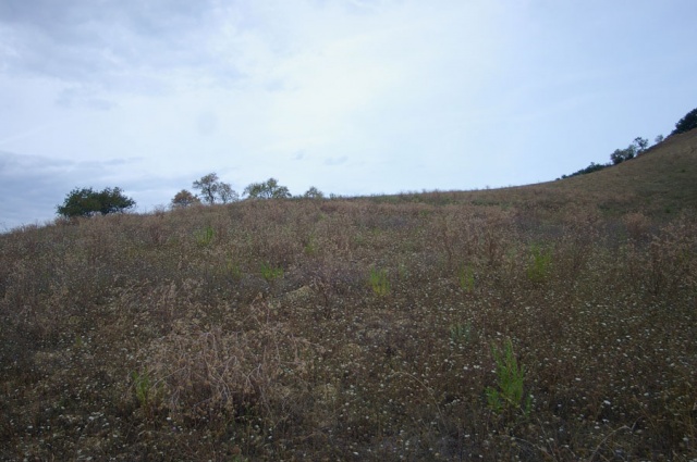 Agricultural land in Contrada Centorame, Atri for sale 