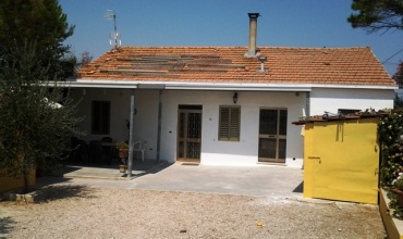 Detached house with land and olive trees
