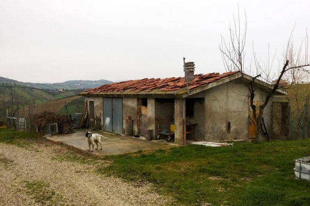 Valle Vignale,Notaresco,1 Bedroom Bedrooms,2 BathroomsBathrooms,Cottage,1397