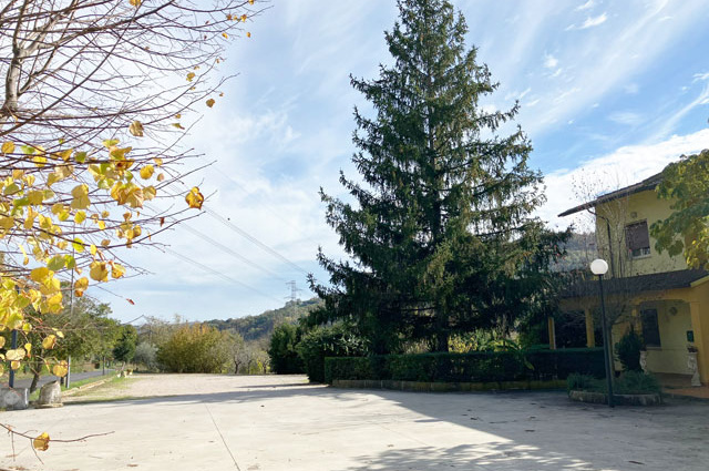 Castiglione Messer Raimondo, 3 Bedrooms Bedrooms, ,5 BathroomsBathrooms,House,For sale,Contrada Piani Appignano,1542