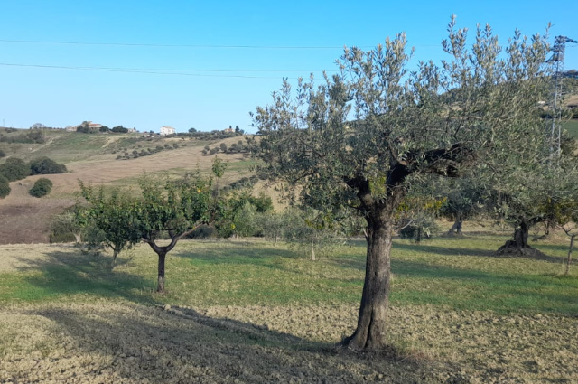 Atri, 2 Bedrooms Bedrooms, ,2 BathroomsBathrooms,Villa,For sale,Contrada Cagno 30,1544