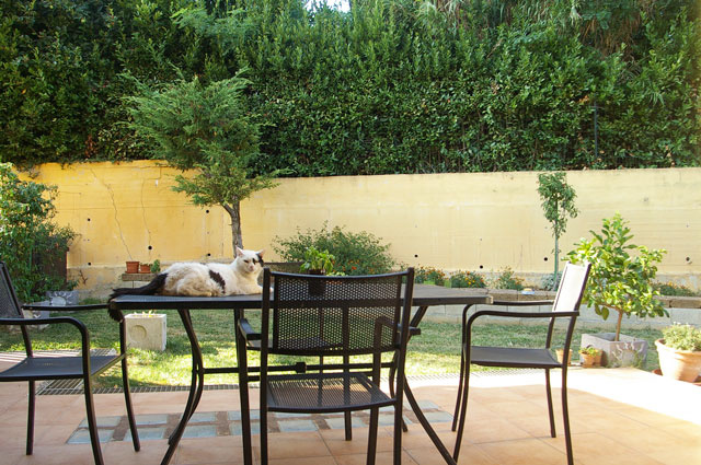 Atri, 3 Bedrooms Bedrooms, ,2 BathroomsBathrooms,House,For sale,Via Proserpina 21,1546
